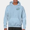 Heavy Blend Adult Hooded Sweatshirt Thumbnail