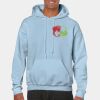Heavy Blend Adult Hooded Sweatshirt Thumbnail