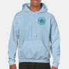 Heavy Blend Adult Hooded Sweatshirt Thumbnail