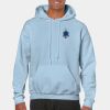 Heavy Blend Adult Hooded Sweatshirt Thumbnail