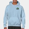 Heavy Blend Adult Hooded Sweatshirt Thumbnail