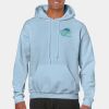 Heavy Blend Adult Hooded Sweatshirt Thumbnail