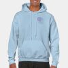 Heavy Blend Adult Hooded Sweatshirt Thumbnail