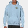 Heavy Blend Adult Hooded Sweatshirt Thumbnail