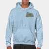 Heavy Blend Adult Hooded Sweatshirt Thumbnail