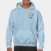 Heavy Blend Adult Hooded Sweatshirt Thumbnail