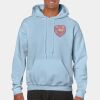 Heavy Blend Adult Hooded Sweatshirt Thumbnail