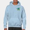 Heavy Blend Adult Hooded Sweatshirt Thumbnail
