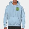 Heavy Blend Adult Hooded Sweatshirt Thumbnail