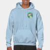 Heavy Blend Adult Hooded Sweatshirt Thumbnail