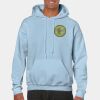 Heavy Blend Adult Hooded Sweatshirt Thumbnail