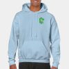 Heavy Blend Adult Hooded Sweatshirt Thumbnail