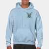 Heavy Blend Adult Hooded Sweatshirt Thumbnail