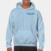 Heavy Blend Adult Hooded Sweatshirt Thumbnail