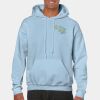 Heavy Blend Adult Hooded Sweatshirt Thumbnail