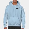 Heavy Blend Adult Hooded Sweatshirt Thumbnail