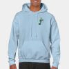 Heavy Blend Adult Hooded Sweatshirt Thumbnail