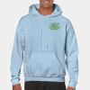 Heavy Blend Adult Hooded Sweatshirt Thumbnail
