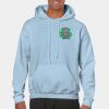 Heavy Blend Adult Hooded Sweatshirt Thumbnail