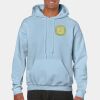 Heavy Blend Adult Hooded Sweatshirt Thumbnail