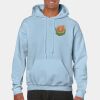 Heavy Blend Adult Hooded Sweatshirt Thumbnail