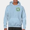 Heavy Blend Adult Hooded Sweatshirt Thumbnail