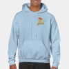 Heavy Blend Adult Hooded Sweatshirt Thumbnail