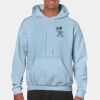 Heavy Blend Adult Hooded Sweatshirt Thumbnail