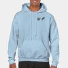 Heavy Blend Adult Hooded Sweatshirt Thumbnail