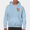 Heavy Blend Adult Hooded Sweatshirt Thumbnail