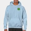 Heavy Blend Adult Hooded Sweatshirt Thumbnail