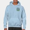 Heavy Blend Adult Hooded Sweatshirt Thumbnail