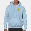 Heavy Blend Adult Hooded Sweatshirt Thumbnail