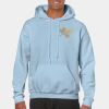 Heavy Blend Adult Hooded Sweatshirt Thumbnail