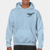 Heavy Blend Adult Hooded Sweatshirt Thumbnail