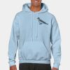 Heavy Blend Adult Hooded Sweatshirt Thumbnail