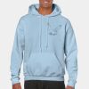 Heavy Blend Adult Hooded Sweatshirt Thumbnail