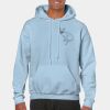 Heavy Blend Adult Hooded Sweatshirt Thumbnail