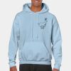 Heavy Blend Adult Hooded Sweatshirt Thumbnail