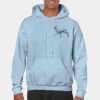 Heavy Blend Adult Hooded Sweatshirt Thumbnail