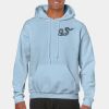 Heavy Blend Adult Hooded Sweatshirt Thumbnail