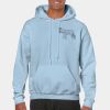 Heavy Blend Adult Hooded Sweatshirt Thumbnail