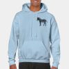 Heavy Blend Adult Hooded Sweatshirt Thumbnail