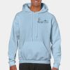 Heavy Blend Adult Hooded Sweatshirt Thumbnail