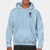 Heavy Blend Adult Hooded Sweatshirt Thumbnail