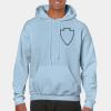 Heavy Blend Adult Hooded Sweatshirt Thumbnail