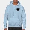 Heavy Blend Adult Hooded Sweatshirt Thumbnail
