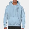 Heavy Blend Adult Hooded Sweatshirt Thumbnail