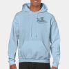 Heavy Blend Adult Hooded Sweatshirt Thumbnail