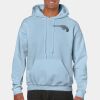 Heavy Blend Adult Hooded Sweatshirt Thumbnail